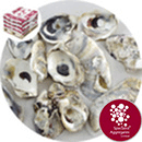 pH Correction Media - Natural Oyster Shells